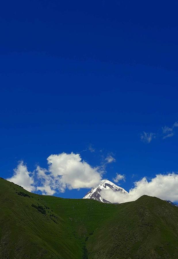 Trip Zone Kazbegi Apartment Exterior foto